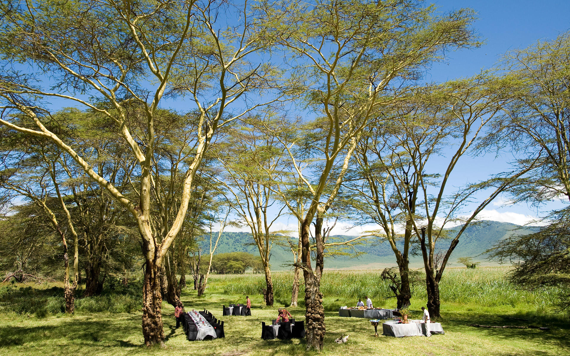 Ngorongoro Crater Lodge thumbnail 3